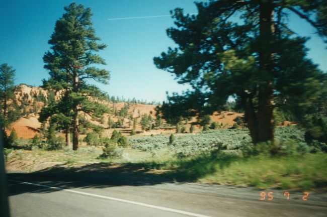 Yellowstone scene - July 2, 1995
