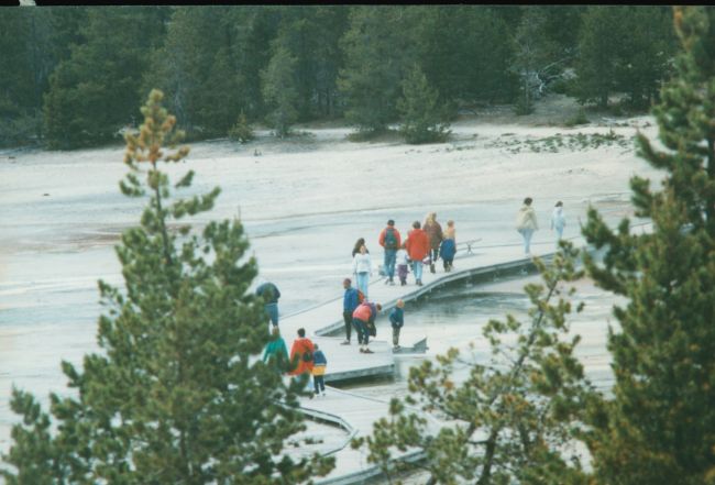 mud pots in Yellowstone?
