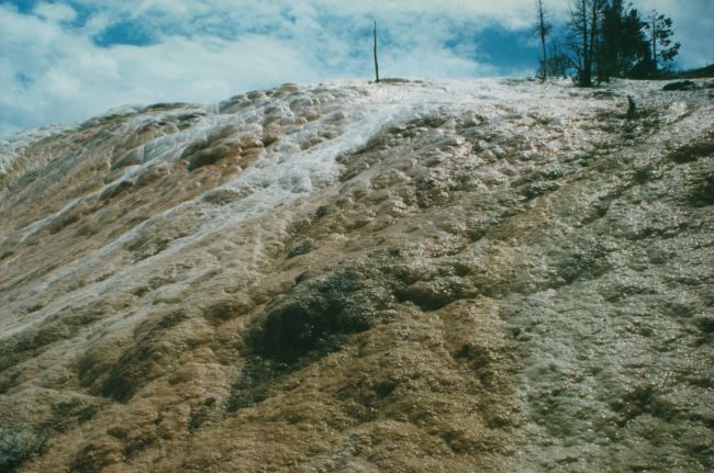 Yellowstone
