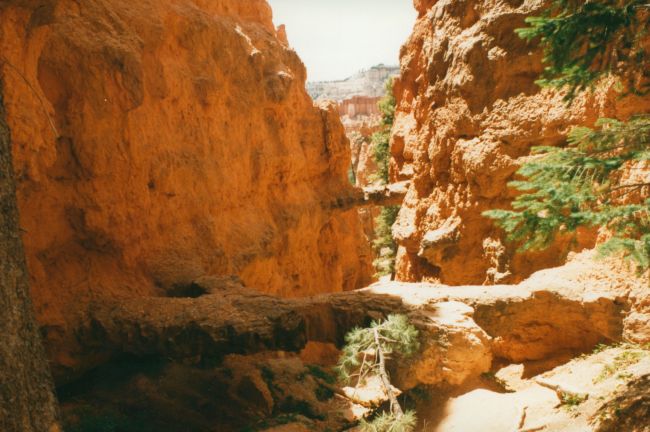 Bryce Canyon
