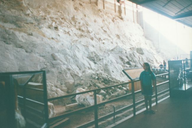 Dinosaur National Park
