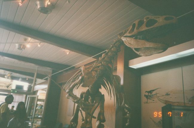 Dinosaur National Park
