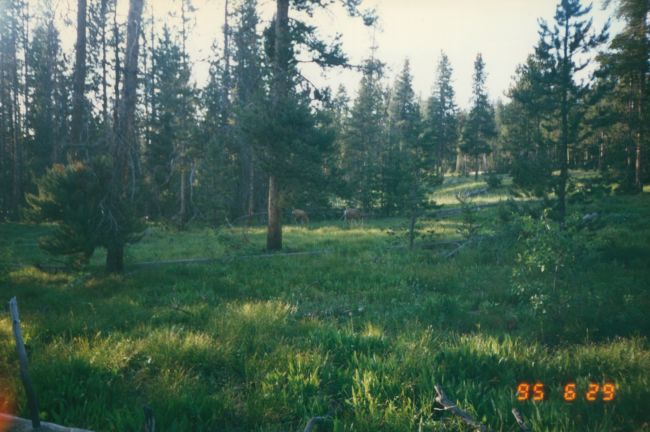 Grand Teton National Park
