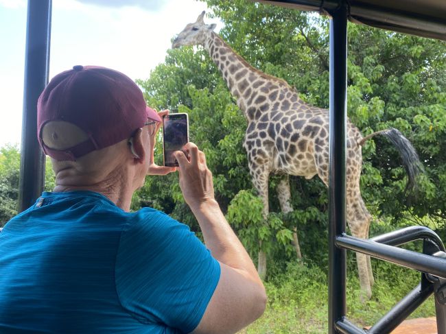 2/7/23 giraffe in Chobe
