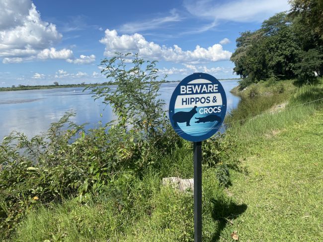 2/8/23 The grounds of our lodge on the Zambezi River near the end of the Caprivi strip
