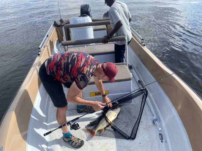 2/8/23 Ray caught this tiger fish on the Zambezi River.  Paul caught his usual nothing.
