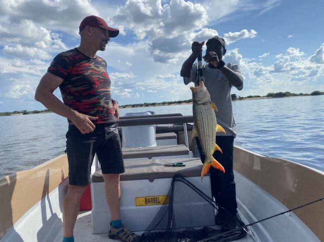 2/8/23 Ray caught this tiger fish on the Zambezi River.  Paul caught his usual nothing.
