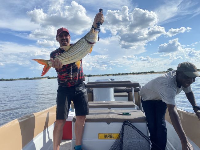 2/8/23 Ray caught this tiger fish on the Zambezi River.  Paul caught his usual nothing.
