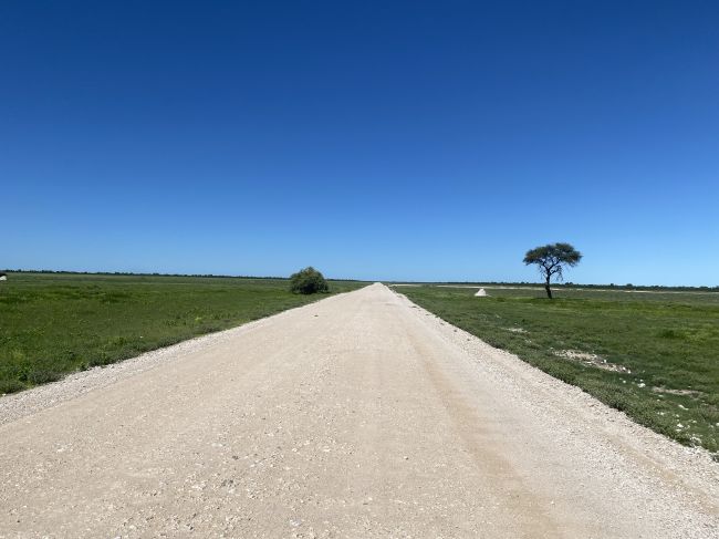 2/10/23 park road in Etosha
