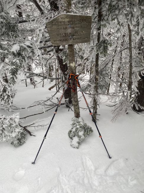 end of Dicey's Mill trail at top of climb.  Actual summit a short side trail from this junction
