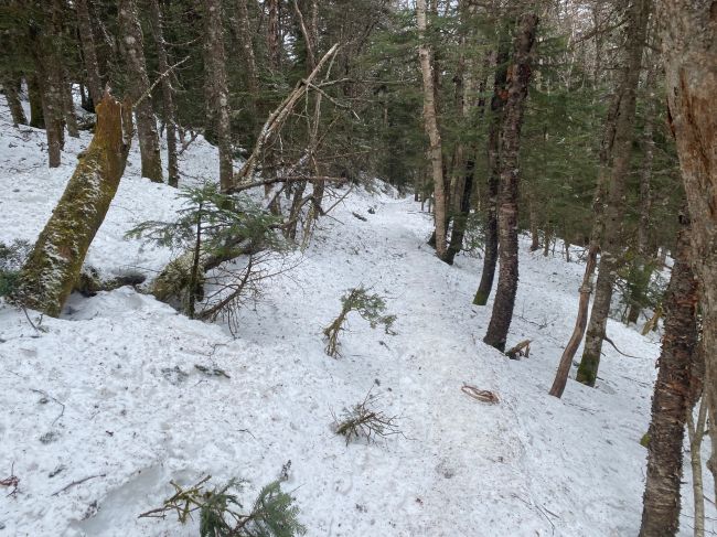 Typical trail on the upper half of moutain
