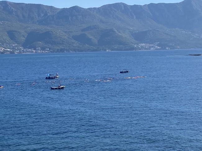 Long-distance competitive swim we witnessed from fort in Old Town Budva
