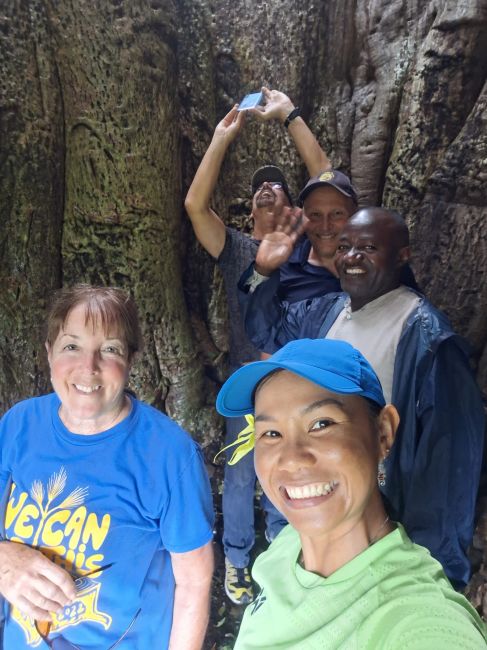 Inside BIG tree during Comoros day tour with guide.
