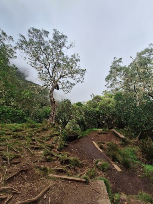 Hike in Mahe, Seychelles
