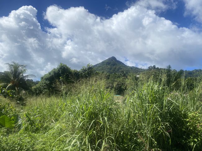 The peak we climbed on Mahe where Helen had her fall the day before
