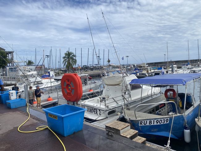 small harbor in Reunion where dive shop was located
