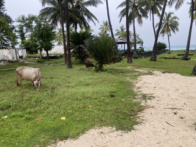 Ruins of Comoros government failed attempt at developing beach tourism; abandoned bungalows
