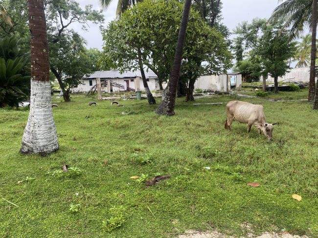 Ruins of Comoros government failed attempt at developing beach tourism; abandoned bungalows
