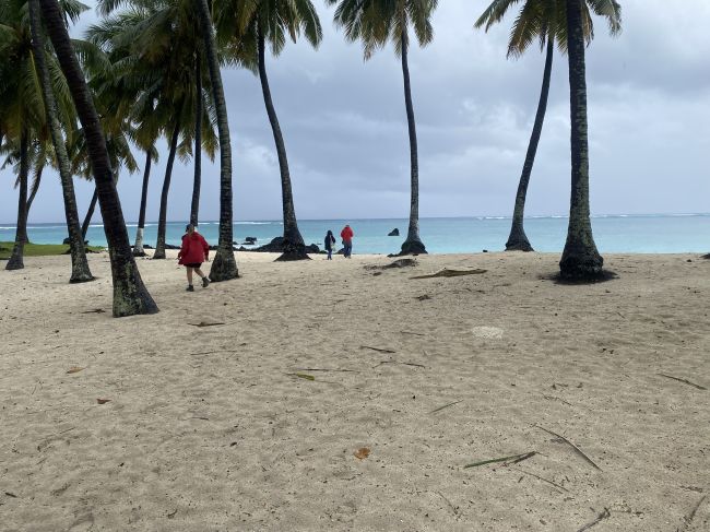 walking on beach in Comoros during day tour
