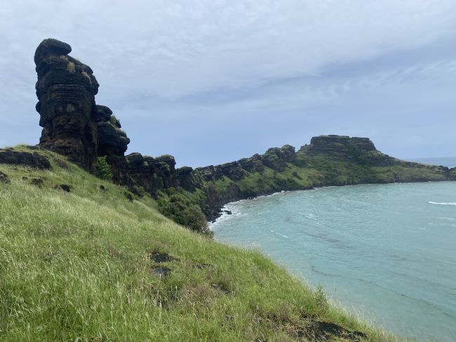 Dos du Dragon in Comoros
