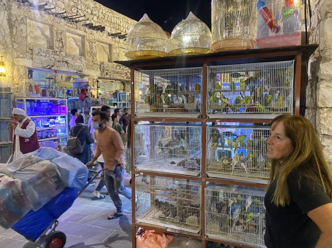 Bird market in old souk in Doha
