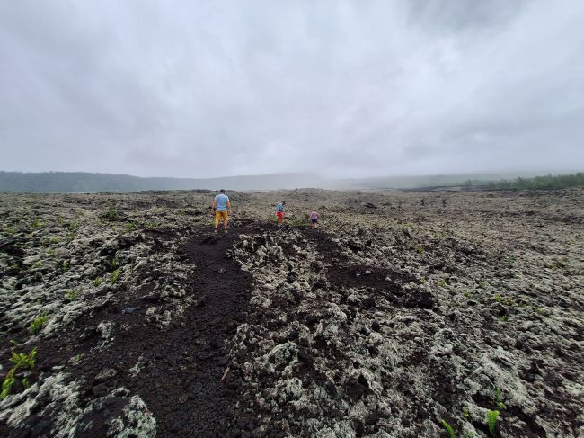 Old lava flow on Reunion Island.  This was a 1 1/2 hour drive south from our hotel
