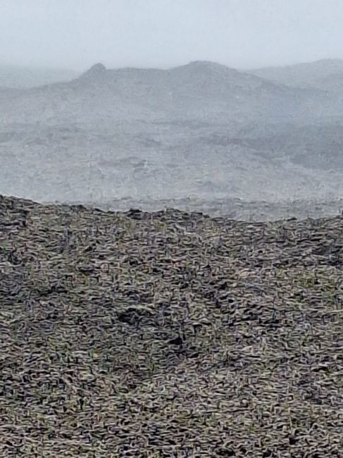 Old lava flow on Reunion Island.  This was a 1 1/2 hour drive south from our hotel
