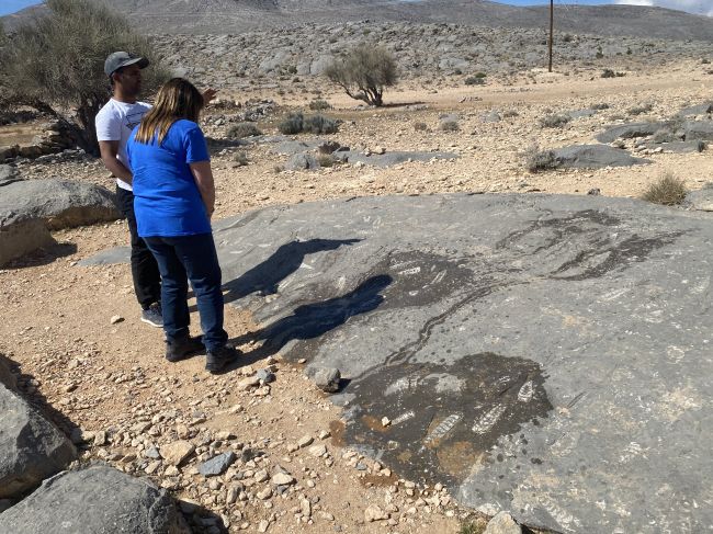 2/11 Day tour of Oman near Straits of Hormuz:  Sealife fossils
