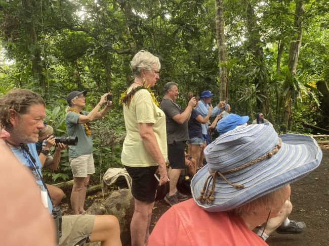 2/19/24 VERY rare ceremony (see traditional non-dress!) in Ambryn, Vanuatu
