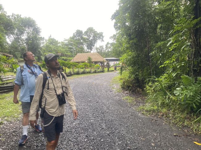 2/23/24 Nature Walk in Suva, Fiji
