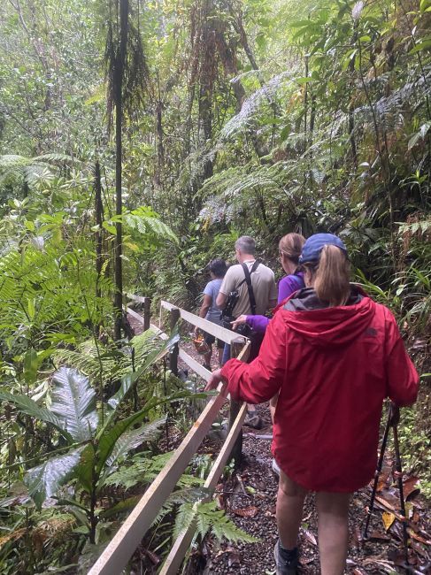 2/23/24 Nature Walk in Suva, Fiji
