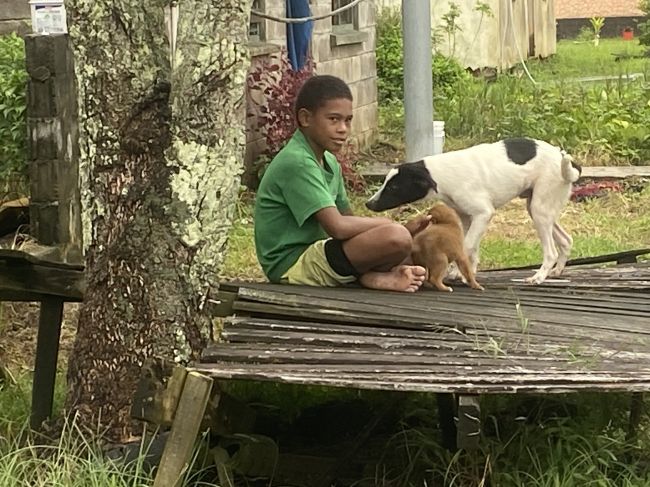 Small town in Beqa, Fiji
