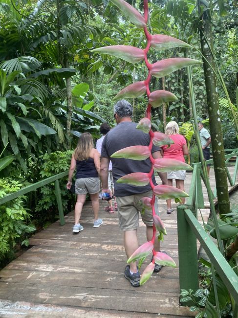 Fiji Nature Park walk
