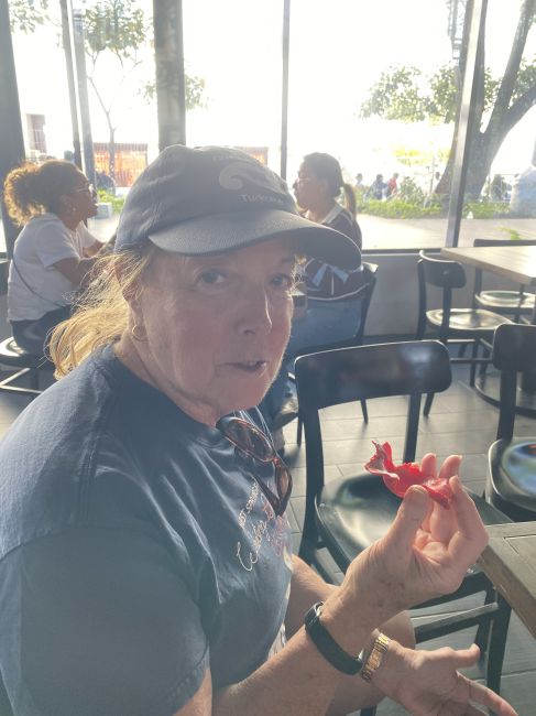 2/7 San Salvador, El Salvador
