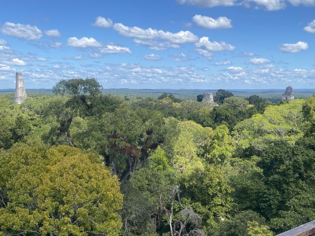 2/10 Tikal, Guatemala
