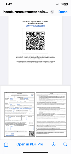 2/12 our web-based immigration document for departing Guatemala en route to Honduras
