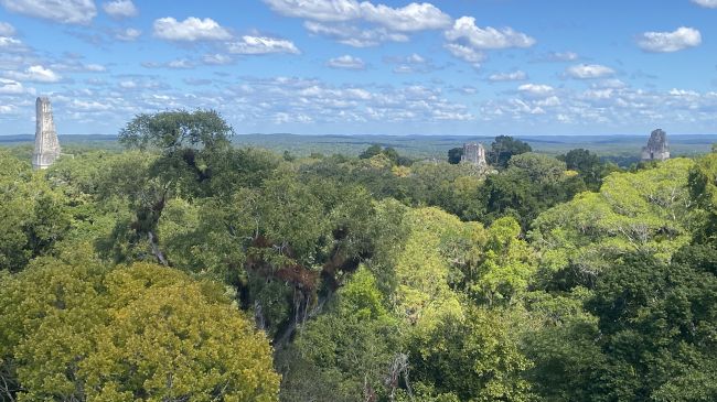 2/10 Tikal, Guatemala

