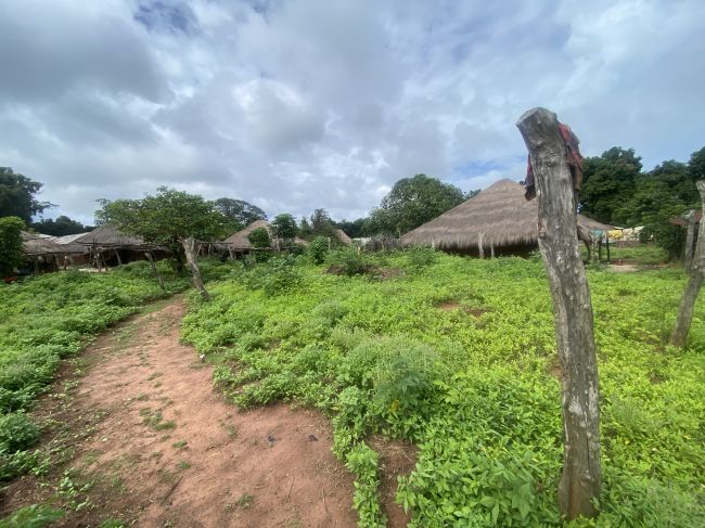 9/19/26 Bijagos Archipelago, Guinea-Bissau
