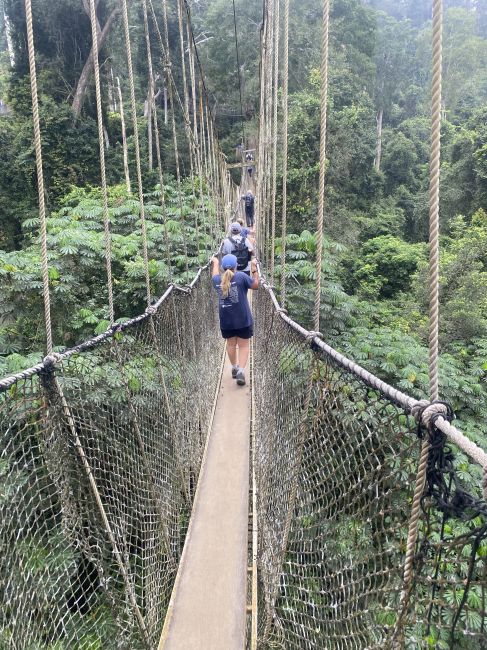 9/28/26 canopy tour
