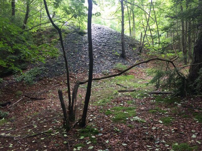 6/28 old coal mine tailings - lifeless river here
