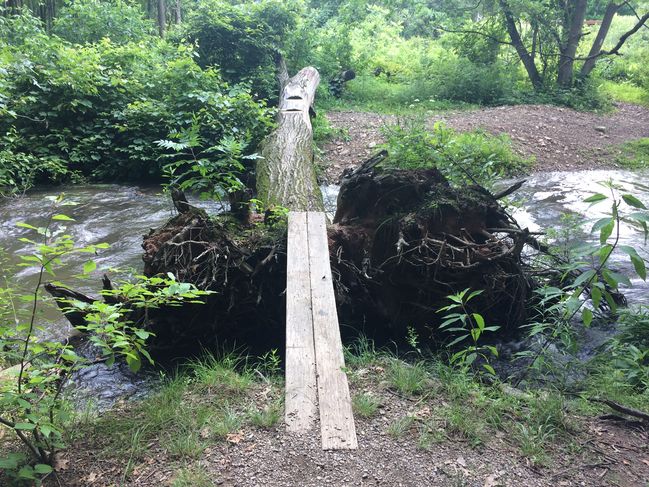 6/28 Interesting bridge at end of day
