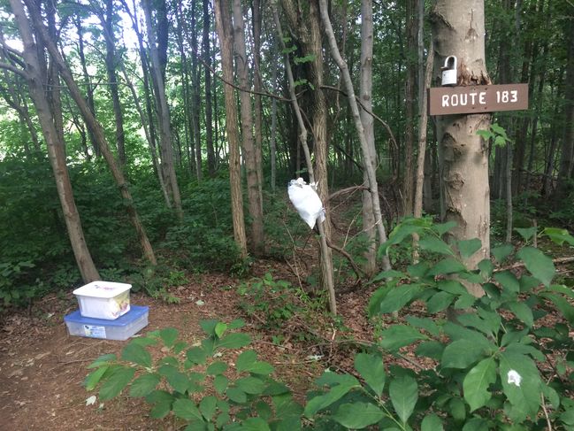 6/29 Trail Magic!!

