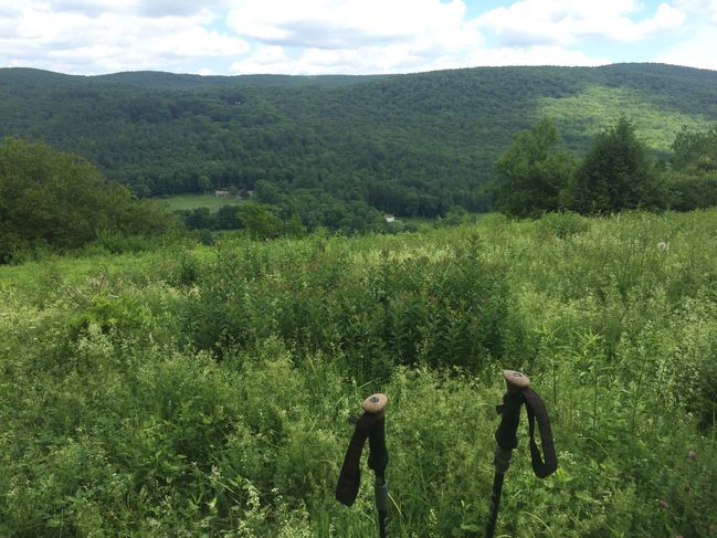 6/19 Massachusetts views
