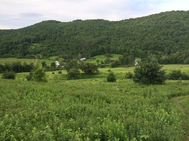 6/24 Farms on trail near Killington
