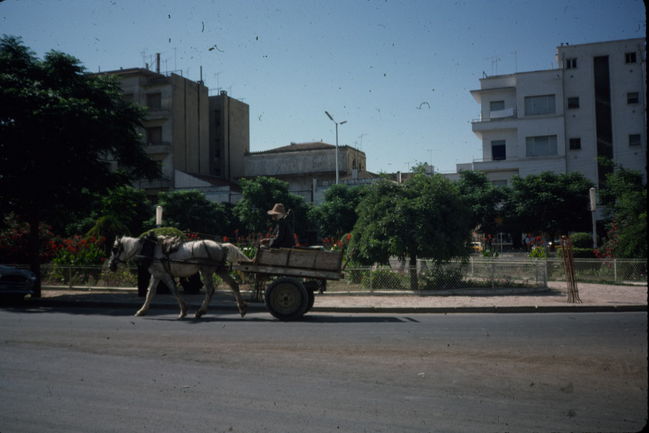 AkeAlgeria0001.JPG