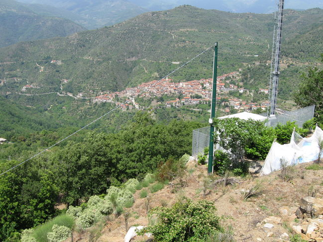114.JPG