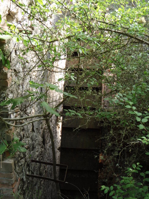 OldMill 003.jpg