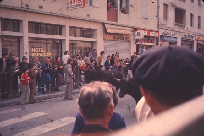 Running of the bulls in Arles
