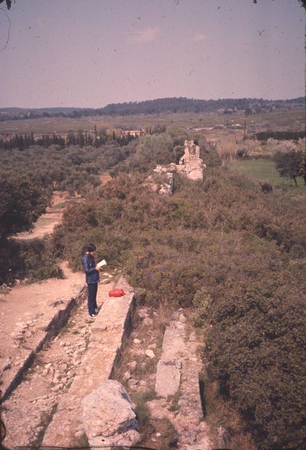 Roman aquaduct
