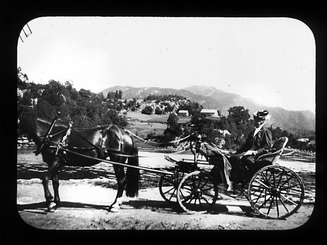 olea_lysekloster_norway1906_2.jpg